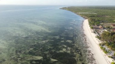 Tanzanya 'nın Zanzibar kıyısındaki okyanus manzarası