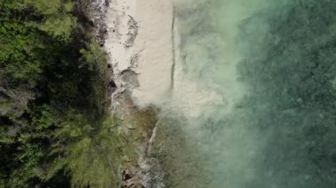 Tanzanya 'nın Zanzibar kıyısındaki okyanus manzarası
