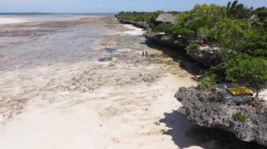 Hint Okyanusu, Zanzibar kıyısı, Tanzanya