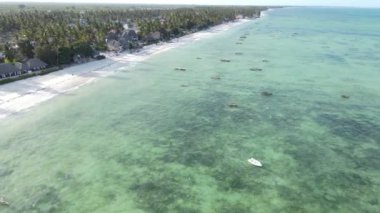 Hint Okyanusu, Zanzibar kıyısı, Tanzanya