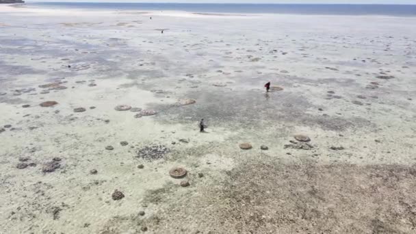 Tanzanya 'nın Zanzibar kıyısındaki okyanus manzarası — Stok video