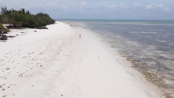 Légi kilátás az óceánra Zanzibár partjainál, Tanzániában — Stock videók