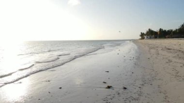 Hint Okyanusu, Zanzibar kıyısı, Tanzanya