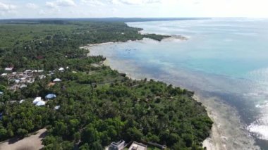 Tanzanya 'nın Zanzibar kıyısındaki okyanus manzarası