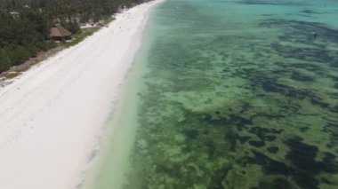 Tanzanya 'nın Zanzibar kıyısındaki okyanus manzarası