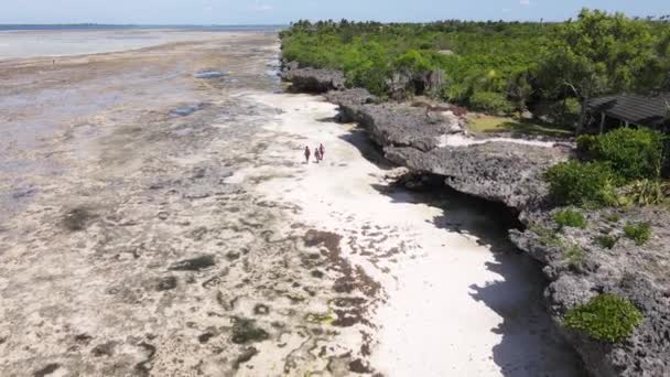 Indiska oceanen nära stranden av Zanzibar, Tanzania — Stockvideo