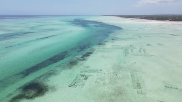 Oceano Índico perto da costa de Zanzibar, Tanzânia — Vídeo de Stock
