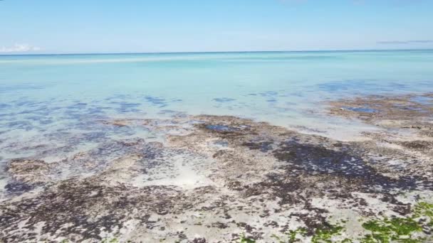 Oceaanlandschap bij de kust van Zanzibar, Tanzania — Stockvideo