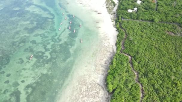 Ocean landscape near the coast of Zanzibar, Tanzania — Stock Video