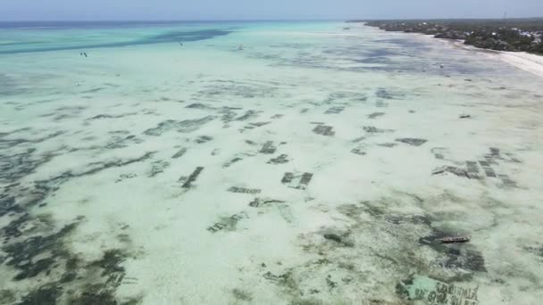 Ocean landscape near the coast of Zanzibar, Tanzania — Stock Video