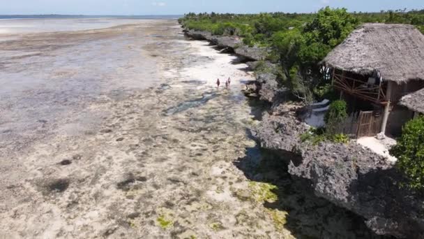 Havslandskap nära kusten i Zanzibar, Tanzania — Stockvideo