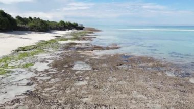 Tanzanya 'nın Zanzibar kıyısındaki okyanus manzarası