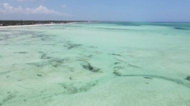 Tanzanya 'nın Zanzibar kıyısındaki okyanus manzarası