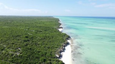 Zanzibar, Tanzanya - Hint Okyanusu 'nun havadan görünüşü