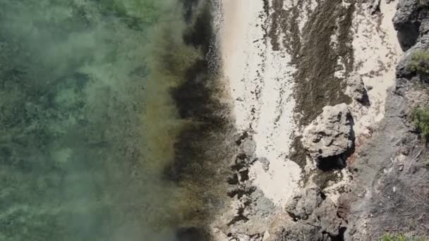 Paisaje oceánico cerca de la costa de Zanzíbar, Tanzania — Vídeos de Stock