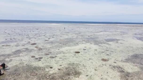 Oceaanlandschap bij de kust van Zanzibar, Tanzania — Stockvideo
