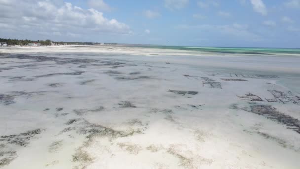 Zanzibar, Tanzania - Veduta aerea dell'Oceano Indiano — Video Stock