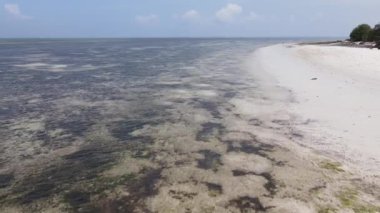 Tanzanya 'nın Zanzibar kıyısının yakınındaki Hint Okyanusu' nun yüksekliğinden görüntüyü al.