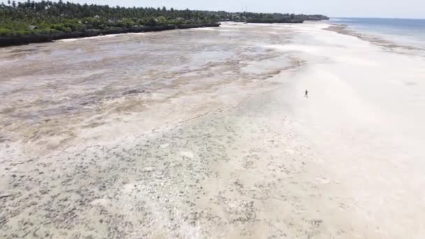 Zanzibar, Tanzanya - Hint Okyanusu 'nun havadan görünüşü — Stok video