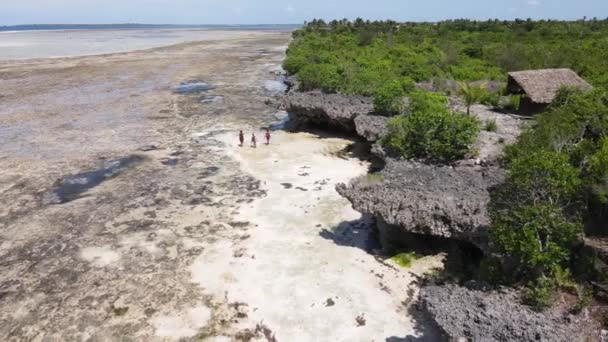 Zanzibar, Tanzânia - Vista aérea do Oceano Índico — Vídeo de Stock