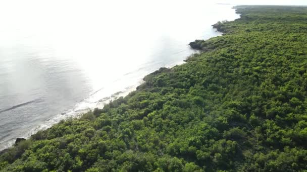 Utsikt från en höjd av Indiska oceanen nära kusten i Zanzibar, Tanzania — Stockvideo