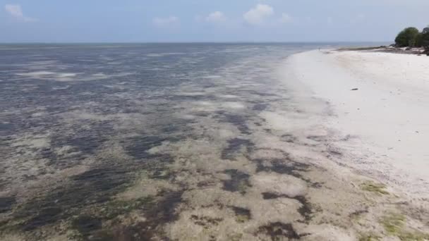 Kilátás az Indiai-óceán magasságából a tanzániai Zanzibár partjainál — Stock videók
