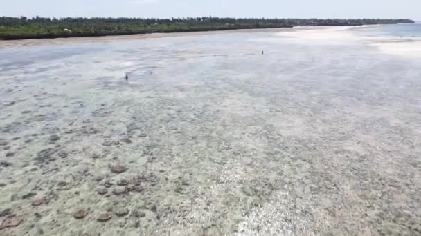 Vista desde una altura del Océano Índico cerca de la costa de Zanzíbar, Tanzania — Vídeo de stock