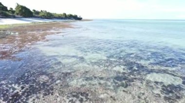 Hint Okyanusu 'nun güzel manzarası. Tanzanya' nın Zanzibar kıyısında.