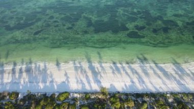 Hint Okyanusu 'nun güzel manzarası. Tanzanya' nın Zanzibar kıyısında.