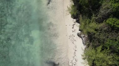 Hint Okyanusu 'nun güzel manzarası. Tanzanya' nın Zanzibar kıyısında.