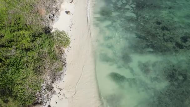 Utsikt från en höjd av Indiska oceanen nära kusten i Zanzibar, Tanzania — Stockvideo