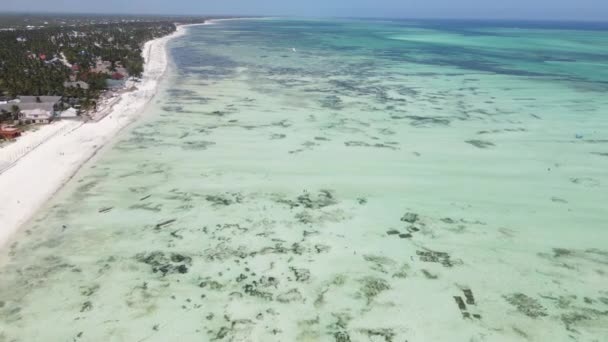 Uitzicht vanaf een hoogte van de Indische Oceaan nabij de kust van Zanzibar, Tanzania — Stockvideo