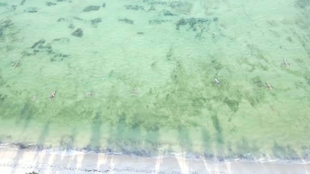 Krásná krajina Indického oceánu u břehu Zanzibaru, Tanzanie — Stock video