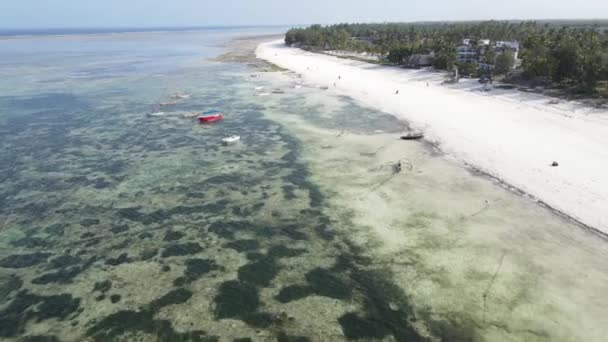 Beautiful landscape of the Indian Ocean near the shore of Zanzibar, Tanzania — Stock Video