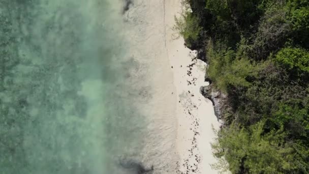 Piękny krajobraz Oceanu Indyjskiego nad brzegiem Zanzibaru, Tanzania — Wideo stockowe