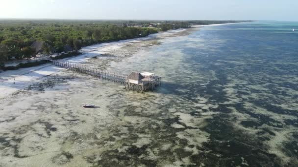 Hus på styltor i havet vid kusten i Zanzibar, Tanzania — Stockvideo