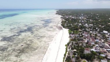 Tanzanya 'nın Zanzibar kıyısındaki okyanusta alçak gelgit manzarası