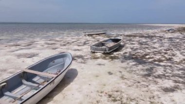 Tanzanya 'nın Zanzibar kıyısındaki okyanusta alçak gelgit manzarası