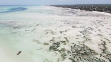 Tanzanya 'nın Zanzibar kıyısındaki okyanusta alçak gelgit manzarası