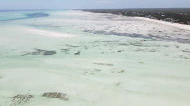 Tanzanya 'nın Zanzibar kıyısındaki okyanusta alçak gelgit manzarası
