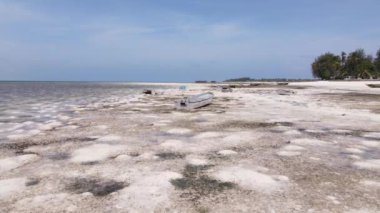 Tanzanya 'nın Zanzibar kıyısındaki okyanusta alçak gelgit manzarası