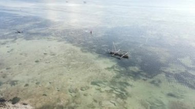 Tanzanya 'nın Zanzibar kıyısındaki okyanusta alçak gelgit manzarası