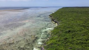 Tanzanya 'nın Zanzibar kıyısındaki okyanusta alçak gelgit manzarası