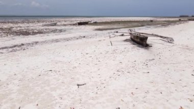 Tanzanya 'nın Zanzibar kıyısındaki okyanusta alçak gelgit manzarası