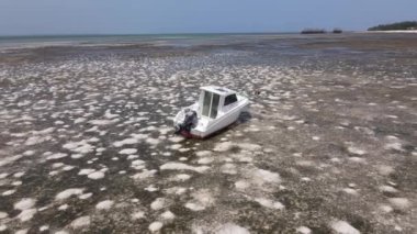 Tanzanya 'nın Zanzibar kıyısındaki okyanusta alçak gelgit manzarası