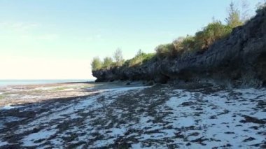 Tanzanya 'nın Zanzibar kıyısındaki okyanusta alçak gelgit manzarası