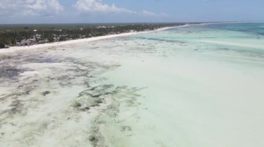 Tanzanya 'nın Zanzibar kıyısındaki okyanusta alçak gelgit manzarası