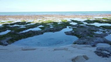 Tanzanya 'nın Zanzibar kıyısındaki okyanusta alçak gelgit manzarası