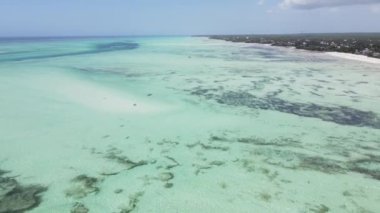 Tanzanya 'nın Zanzibar kıyısındaki okyanusta alçak gelgit manzarası