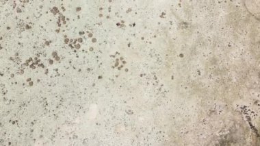 Tanzanya 'nın Zanzibar kıyısındaki okyanusta alçak gelgit manzarası